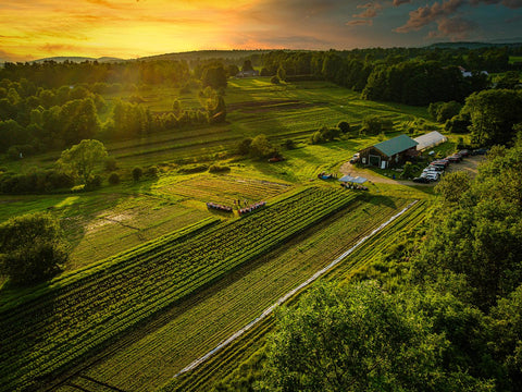 Organic herb farm & small batch apothecary