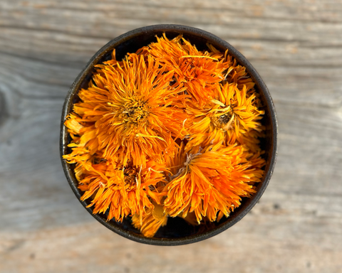 Calendula